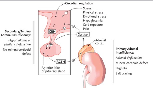 primary & secondary adrenal insufficiency