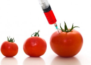 Genetically Modified Organisms pictures