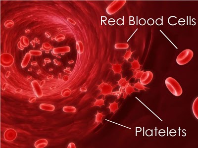 Low Platelet Count Pictures