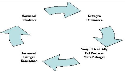 Hormone Replacement Therapy image