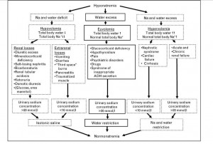 Hyponatremia Causes, Levels, Management Algorithm