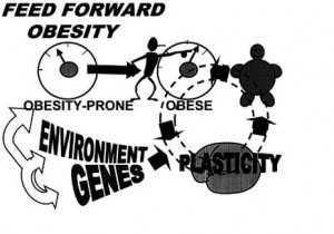 genetics to obesity